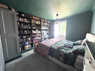 Picture 13